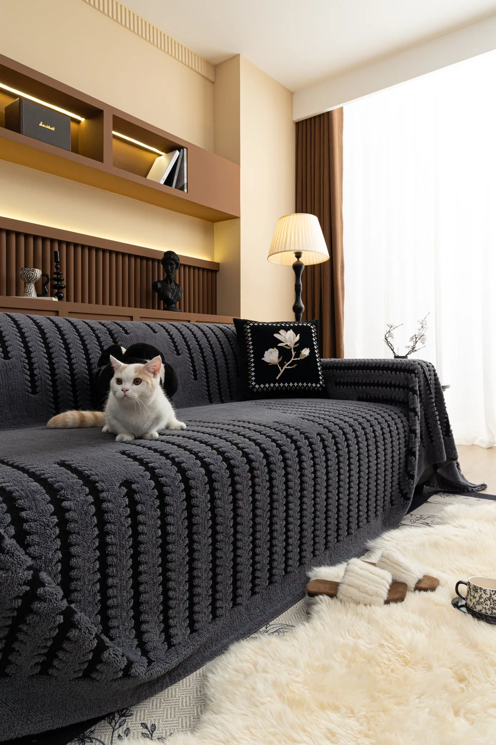 Cat photo 018