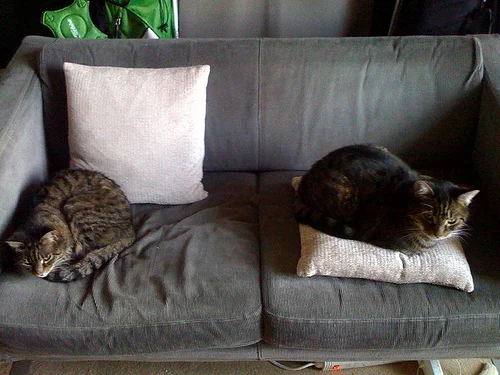 Two cats resting at opposite ends of a dark grey sofa.
